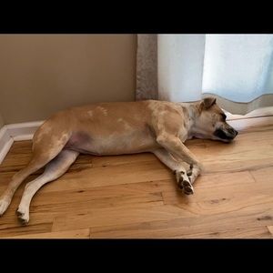 Meet your Posher, Viktoria